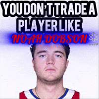Nhl Canadiens GIF
