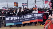 Voting Rights GIF by Black Voters Matter Fund