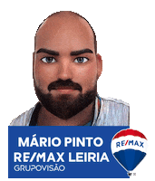 Mariopintogrupovisao Sticker by Remax Grupo Visão