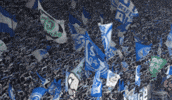 Football Soccer GIF by FC Schalke 04