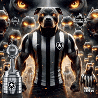 Libertadores Bfr GIF