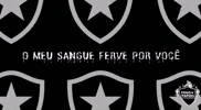 Botafogo De Futebol E Regatas Bfr GIF