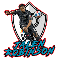 Ps Robinson Sticker by Perfect Soccer