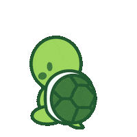 Turtle Wow Sticker by Jugendtagung