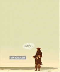 shoo GIF
