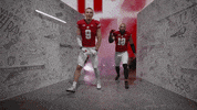 College Football GIF by Wisconsin Badgers