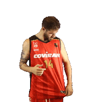 Sport Coviran Sticker by Fundación Club Baloncesto Granada