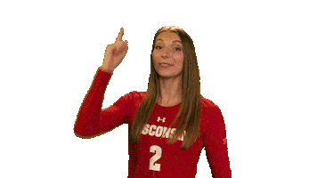 Wisconsin Volleyball Sport Sticker by Wisconsin Badgers