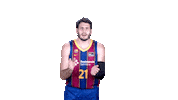 Fc Barcelona Basketball Sticker by ACB