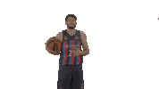 Liga Endesa Basketball Sticker by ACB