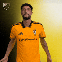 Vamos Lets Go GIF by Major League Soccer