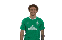 Swipe Up Come On Sticker by SV Werder Bremen