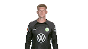 Check This Out Look Here Sticker by VfL Wolfsburg
