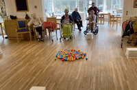 Welsh Care Home Residents Play Human 'Hungry Hippos' in Coronavirus Lockdown
