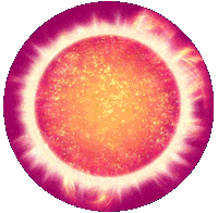 Stars Orange Sticker by Online Star Register