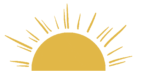 Summer Sun Sticker by Lime Crime