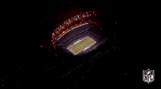 2018 Nfl Football GIF by NFL