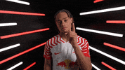 Germany Football GIF by Bundesliga