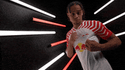 Germany Football GIF by Bundesliga