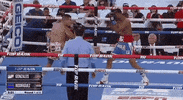 Espn Fighting GIF by Top Rank Boxing