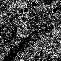 Art Nft GIF