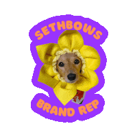 Japan Dachshund Sticker by SethBows