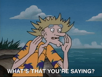 hey arnold nicksplat GIF