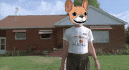underdogscity underdogs nft GIF