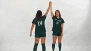 Huntington University GIF by FDN Sports