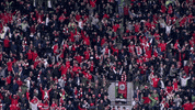 Red Army Celebration GIF by Cliftonville Football Club