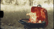 Southern Charm Beer GIF by Pure Noise Records