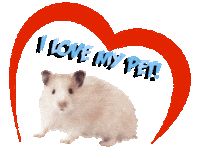 Guinea Pig Love Sticker