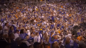kansas city royals baseball GIF