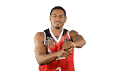 Liga Endesa Basketball Sticker by ACB