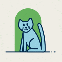 Cat GIF by Snap Finance