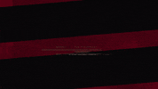 Western Sydney Wanderers Wsw GIF by wswanderersfc