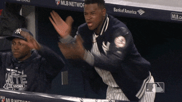 New York Yankees Sport GIF by MLB