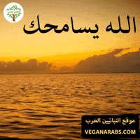 الله GIF by VeganArabs