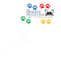 Ddcc Sticker by The Doggy Day Care Centre Ltd.