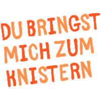knister bbq grillen knister knistergrill Sticker