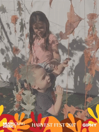 harvestfestny GIF by Meatpacking District