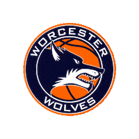 london basketball Sticker by Bristol Flyers
