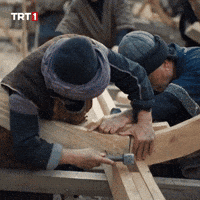 Tree Wood GIF by TRT