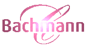 bachmannconfiserie switzerland schweiz macaron kuchen Sticker
