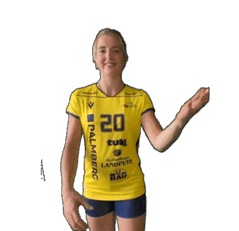 Schwerinersc Sticker by SSCPalmbergSchwerin