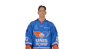 Hockey De Sticker by UNIS Flyers