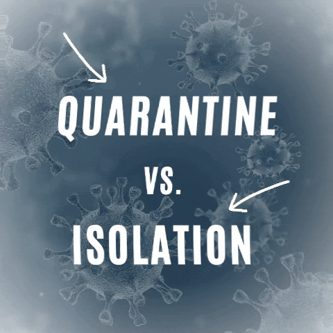 Quarantine Isolation GIF by Mecklenburg County