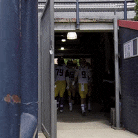 College Sports Football GIF by LSU Tigers