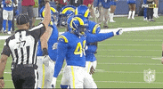 Los Angeles Rams Football GIF by NFL