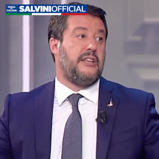 MatteoSalviniFan giphyupload salvini salvinigif salviniofficial GIF